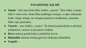 Etnografiniai mėnesių pavadinimai 8 puslapis