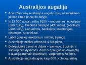 Australija ir Okeanija 9 puslapis