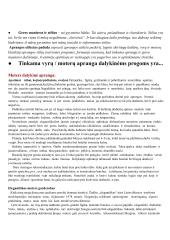 Aprangos etiketas 3 puslapis