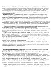 Aprangos etiketas 4 puslapis