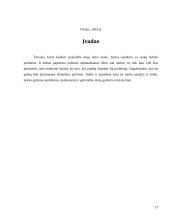  (Vidinė) Komunikacija organizacijoje 13 puslapis