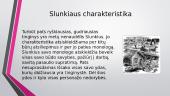 Slunkiaus charakteristika 3 puslapis