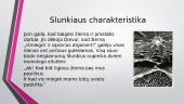 Slunkiaus charakteristika 4 puslapis