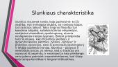 Slunkiaus charakteristika 5 puslapis