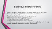 Slunkiaus charakteristika 8 puslapis