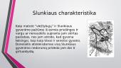 Slunkiaus charakteristika 9 puslapis