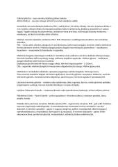 Histologijos konspektas 7 puslapis