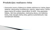 Pramonės išdėstymo veiksniai ir rinkos 6 puslapis