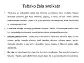 Rūkymo istorija ir žala sveikatai  3 puslapis