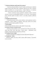 Derybinės situacijos analizė dėl didesnio atlyginimo 2 puslapis