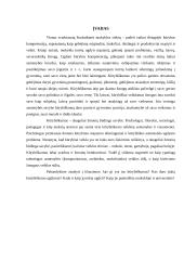 Kūrybiškumo ugdymas mokykloje ir universitete 2 puslapis