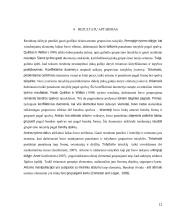 Geštalto grupavimo taisyklių tyrimas  11 puslapis