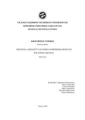 Veiksniai, lemiantys jaunimo pasirinkimą renkant politines partijas