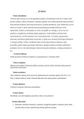 Veiksniai, lemiantys jaunimo pasirinkimą renkant politines partijas 3 puslapis