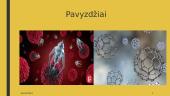 Nanotechnologijos ir jų taikymas 7 puslapis