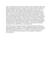 Svajonės siekis lietuvių literatūroje 2 puslapis