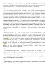 Grubaus teisės pažeidimo analizė 4 puslapis