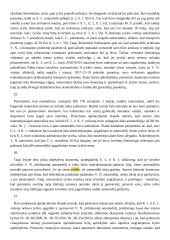 Grubaus teisės pažeidimo analizė 8 puslapis