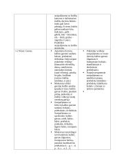 Lietuvių kalbos pradinio ugdymo bendrosios programos lyginamoji lentelė  2 puslapis