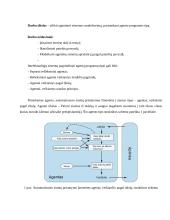 Agentinės sistemos modeliavimas 2 puslapis