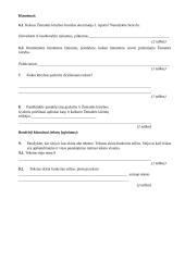 Žemaitės „Marti“ suvokimo testas 3 puslapis