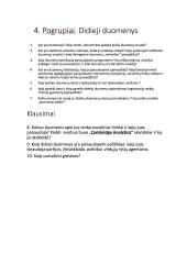 Didieji duomenys (Big data)