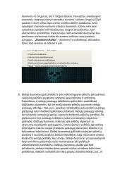 Didieji duomenys (Big data) 9 puslapis