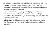 Vaikai, turintys klausos sutrikimų 2 puslapis