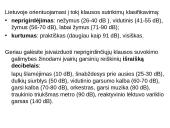 Vaikai, turintys klausos sutrikimų 3 puslapis