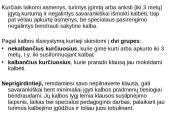 Vaikai, turintys klausos sutrikimų 4 puslapis