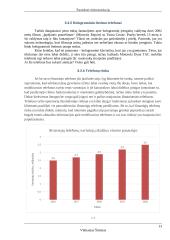 Šiuolaikinė telekomunikacija 13 puslapis