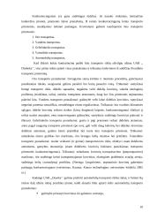 UAB ,,Doseka'' įmonės praktikos ataskaita 10 puslapis