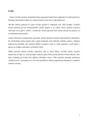 Socialinis kiaulių elgesys 3 puslapis