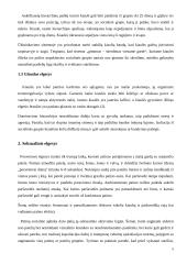 Socialinis kiaulių elgesys 5 puslapis