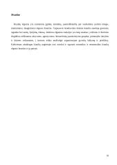 Socialinis kiaulių elgesys 10 puslapis