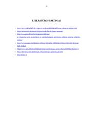 Pastatų mikroklimato sistemos 12 puslapis