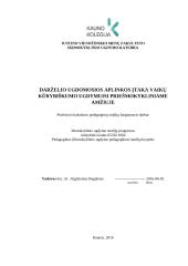 Darželio ugdomosios aplinkos įtaka vaikų kūrybiškumo ugdymuisi priešmokykliniame amžiuje