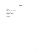 Užgavėnių kaukės, jų ypatumai, rūšys 2 puslapis