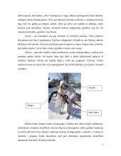 Užgavėnių kaukės, jų ypatumai, rūšys 6 puslapis