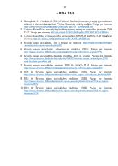 Širvintų rajono savivaldybės biudžeto analizė  16 puslapis