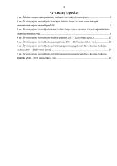 Širvintų rajono savivaldybės biudžeto analizė  3 puslapis