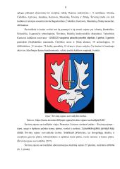 Širvintų rajono savivaldybės biudžeto analizė  8 puslapis