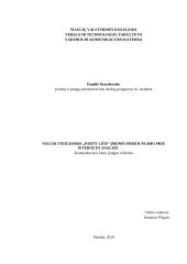 Naujai steigiamos „Party line“ įmonės prisijungimo prie interneto analizė