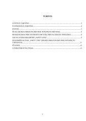 Naujai steigiamos „Party line“ įmonės prisijungimo prie interneto analizė 2 puslapis