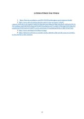 Naujai steigiamos „Party line“ įmonės prisijungimo prie interneto analizė 13 puslapis