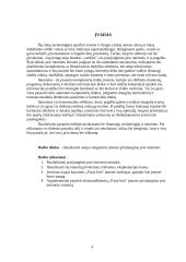 Naujai steigiamos „Party line“ įmonės prisijungimo prie interneto analizė 4 puslapis