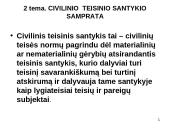Civilinė teisė: pagrindinės temos 11 puslapis