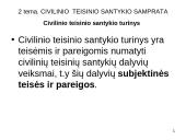 Civilinė teisė: pagrindinės temos 12 puslapis