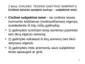 Civilinė teisė: pagrindinės temos 13 puslapis