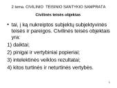 Civilinė teisė: pagrindinės temos 16 puslapis